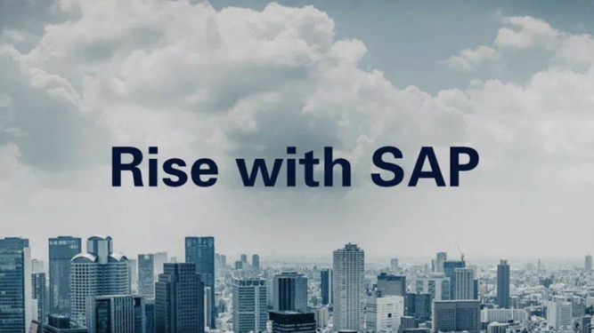 RISE with SAP,SAP,信息化
